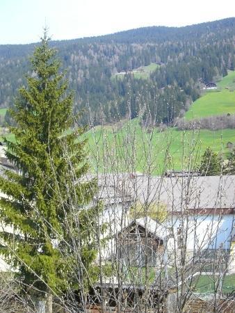Haus Milli Daire San Candido Dış mekan fotoğraf